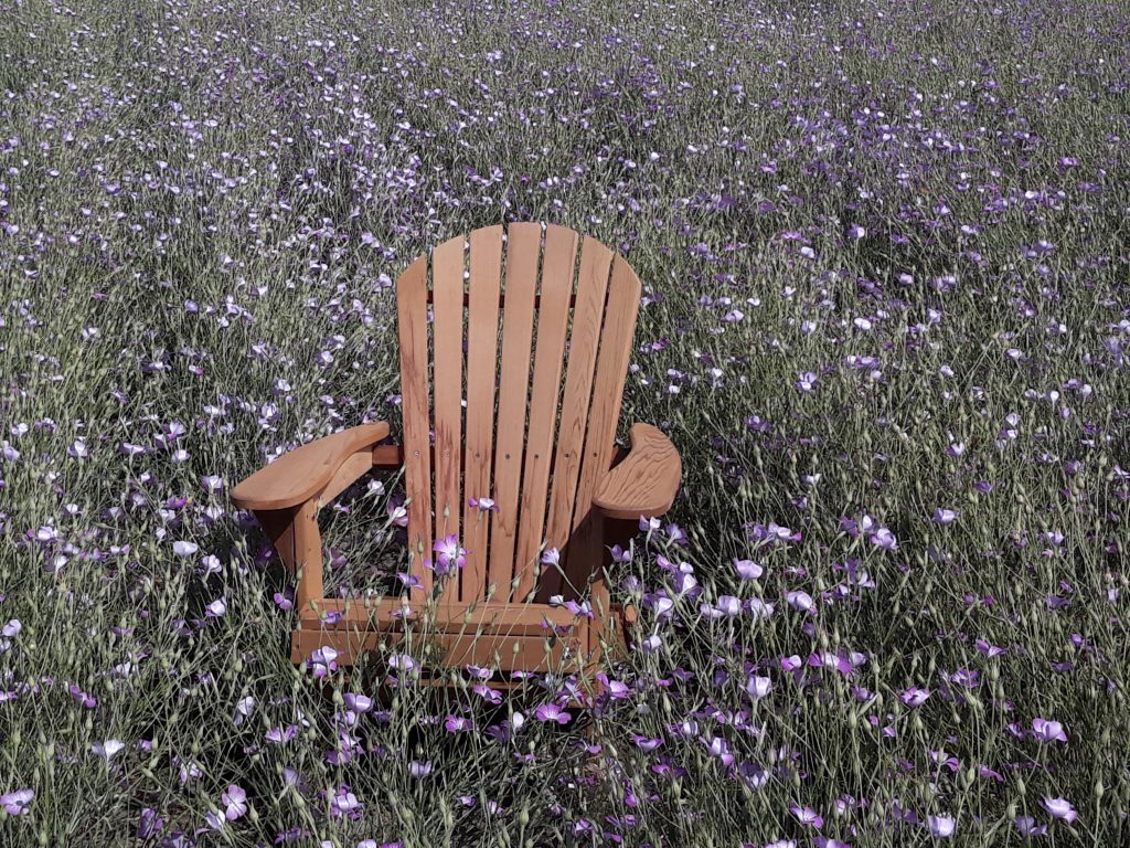 Bear Chair in Zoutelande……
